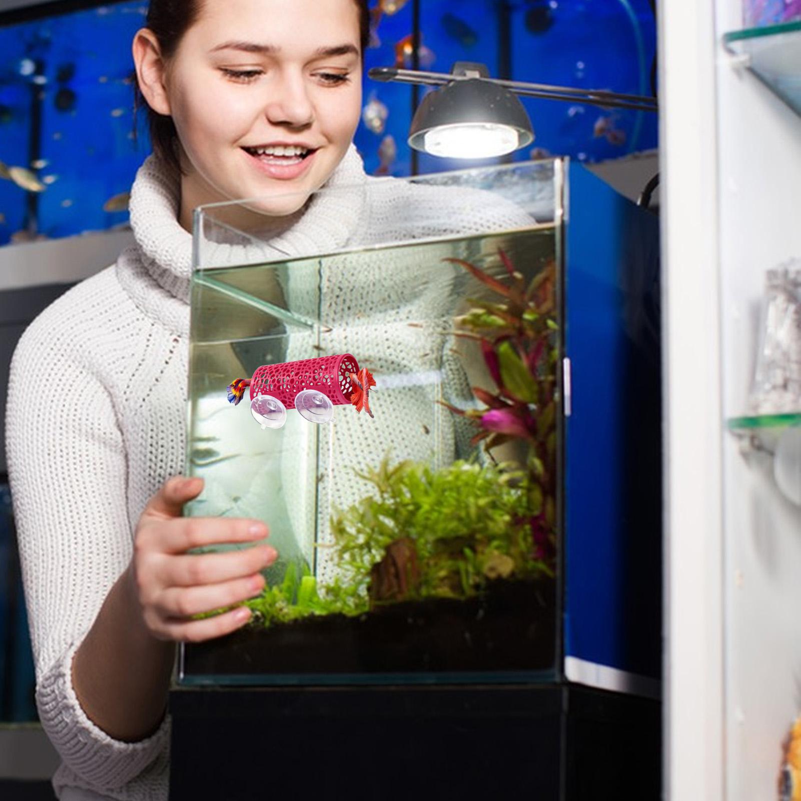 Betta Fish Tank - 베타 생태 환경 휴식처 장식품 물고기