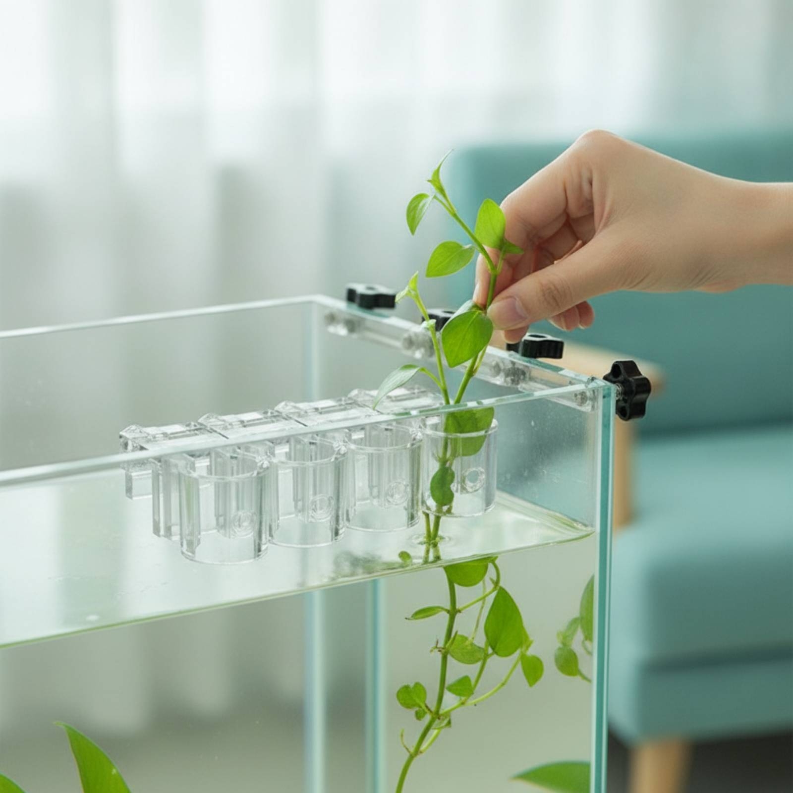 6개 수족관 플랜터 투명 수경 재배 지지 클립(나사 포 - Aquarium Plants 리뷰 및 가격