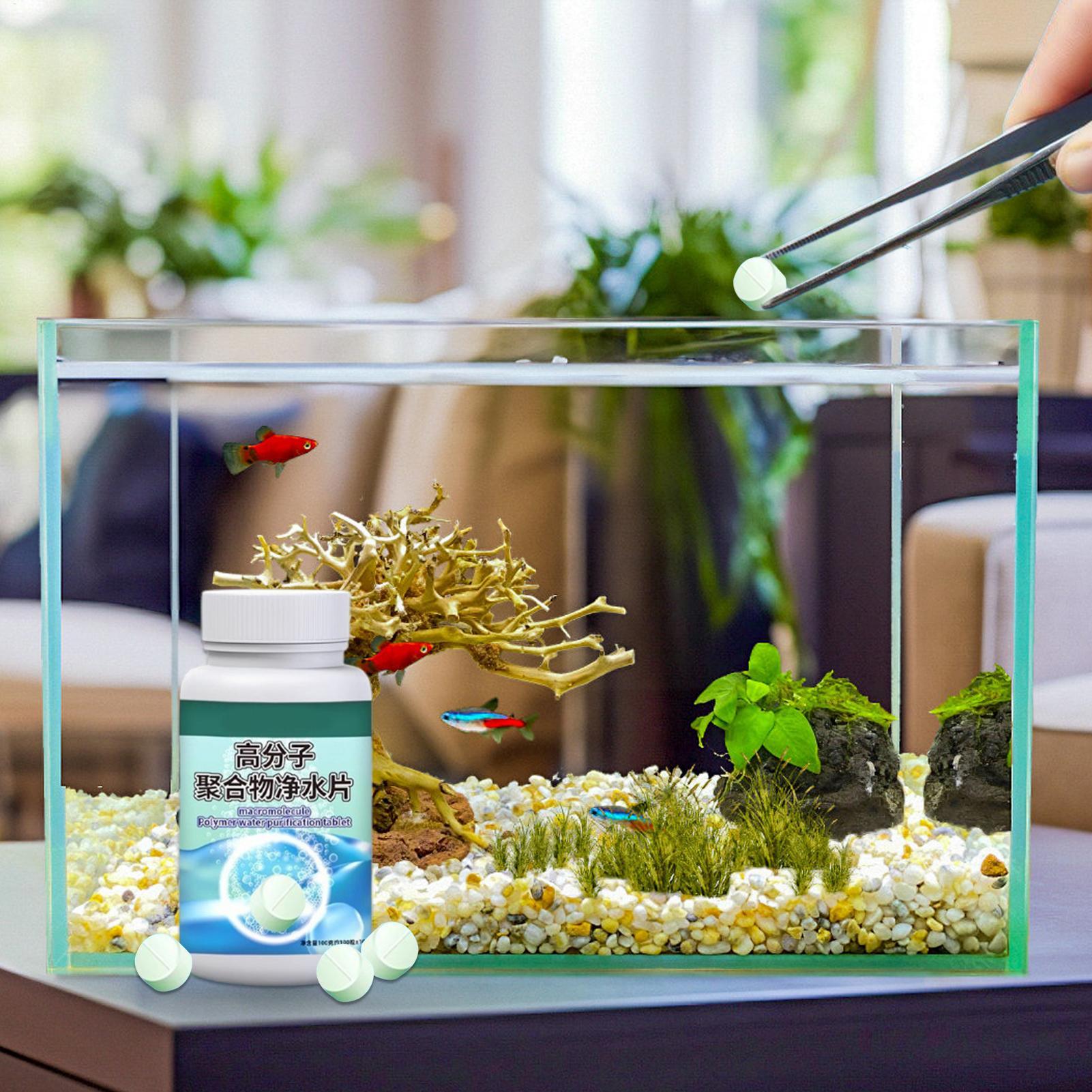 어항 물 정화제 알개 제거제 타블렛, 분수, 베타, 새 - Betta Fish Tank 리뷰 및 가격