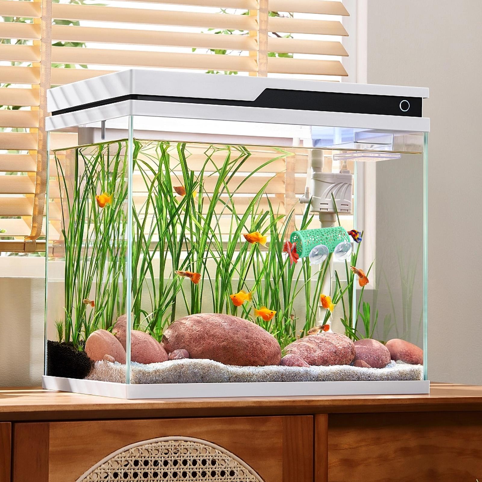 베타 생태 환경 휴식처 장식품 물고기 터널 장난감, 수 - Betta Fish Tank 리뷰 및 가격