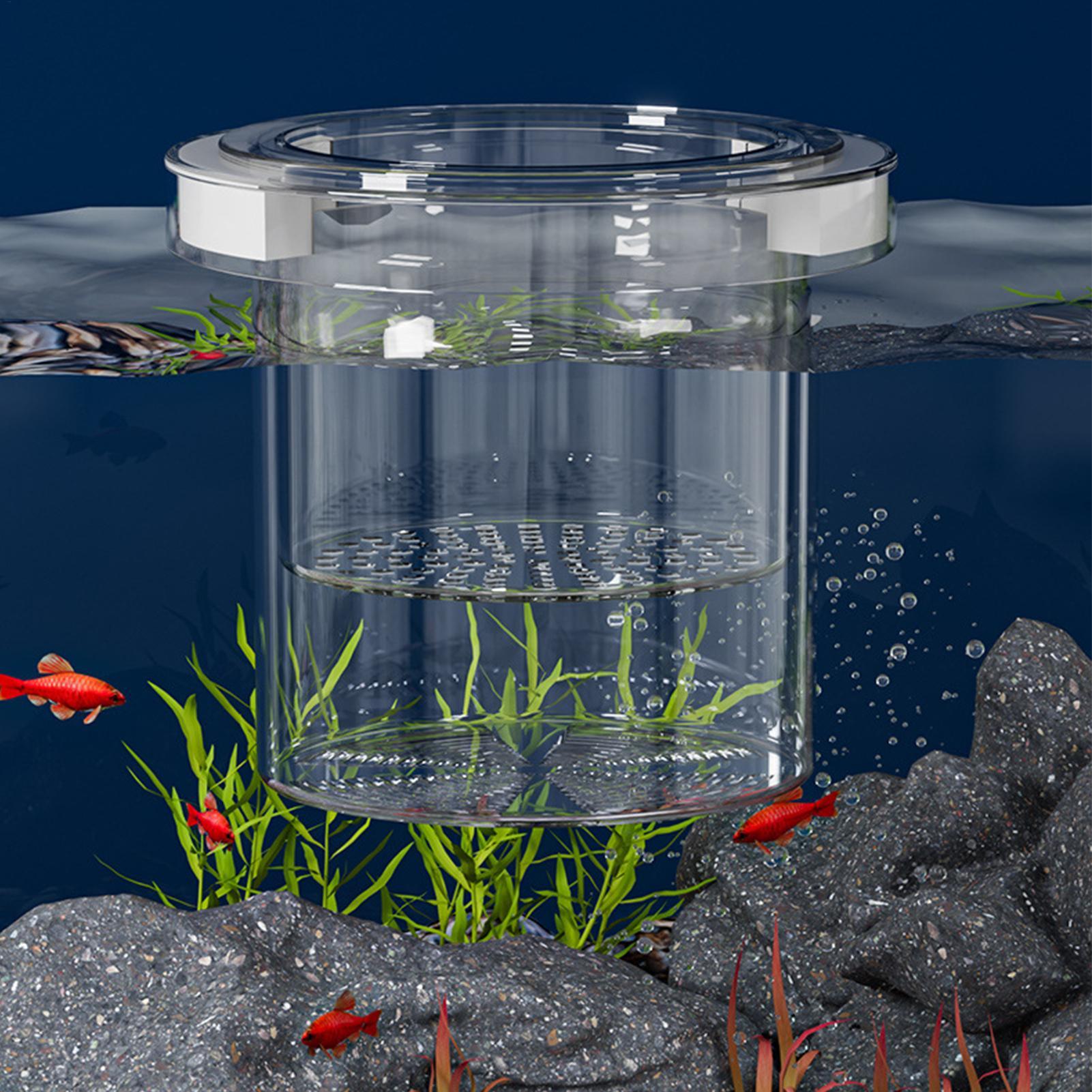 수족관용 부유식 어류 번식 격리 상자, 플라스틱 어항  - Betta Fish Tank 리뷰 및 가격
