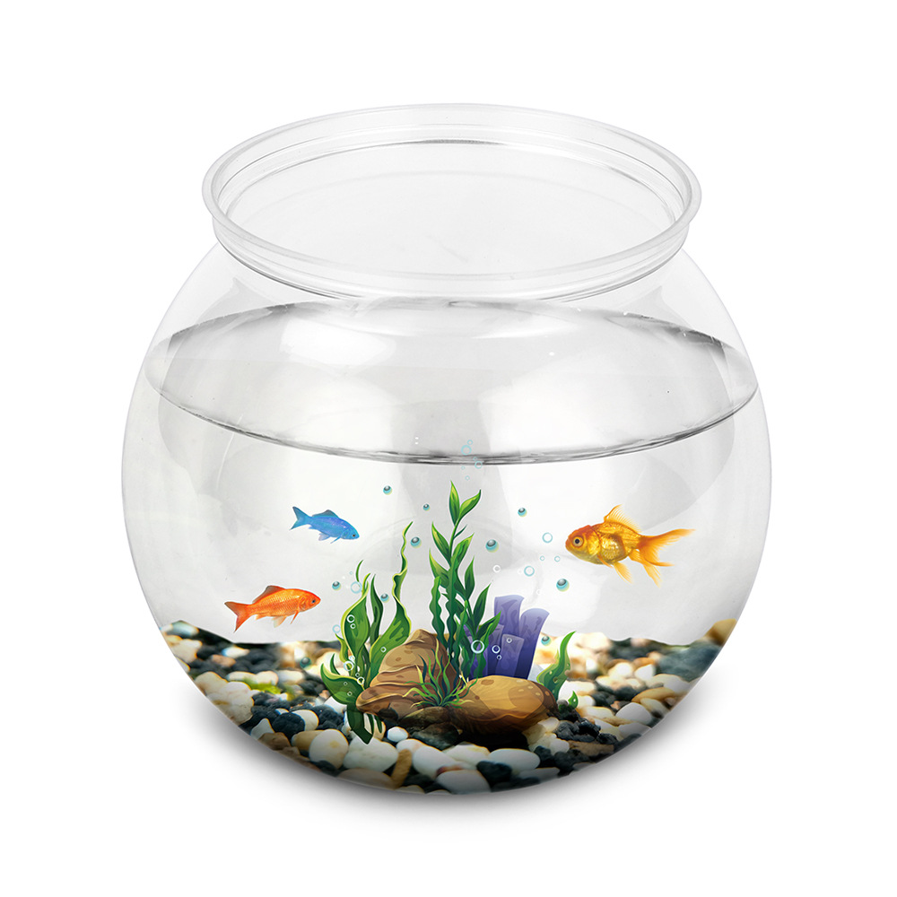 플라스틱 어항, L M S 크기, 데스크탑 수족관 탱크 - Aquarium Fish Betta 리뷰 및 가격