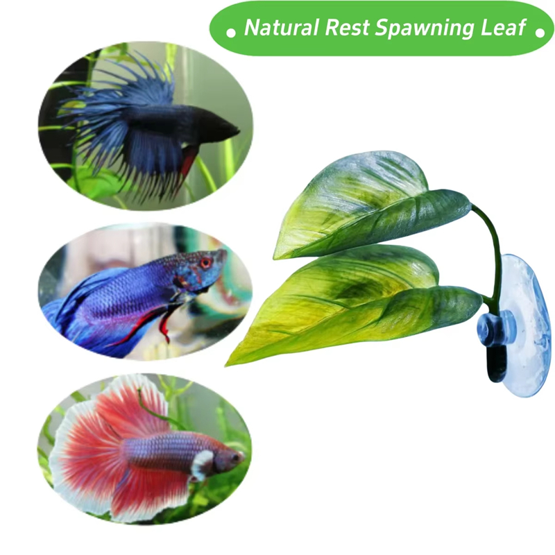 수족관 애완동물 용품 장식 인조 수생 식물 어항 조경  - Betta Fish Tank 리뷰 및 가격