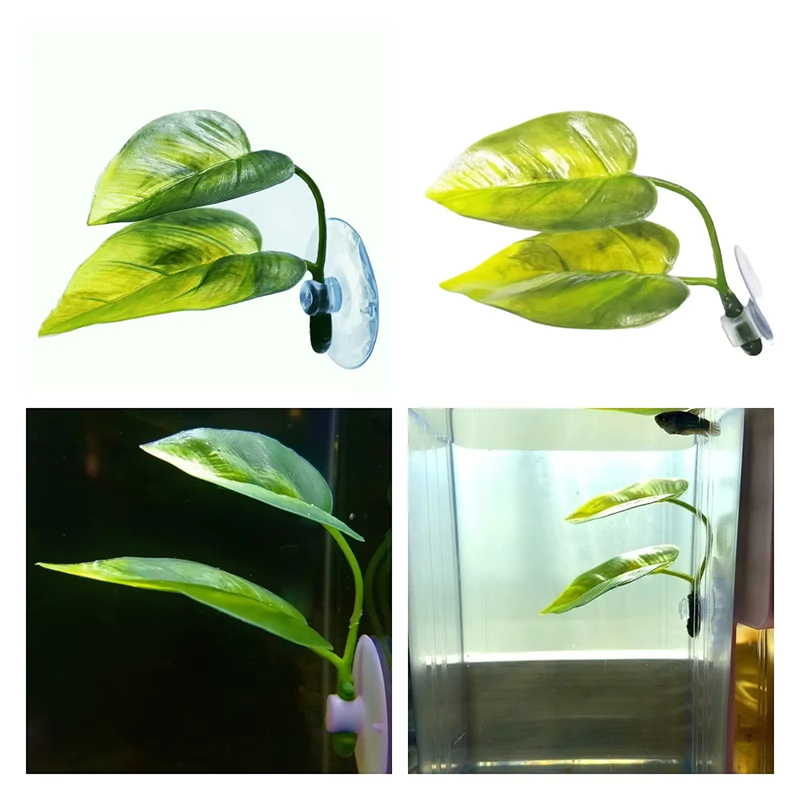 수족관 애완동물 용품 장식 인조 수생 식물 어항 조경  - Betta Fish Tank 리뷰 및 가격