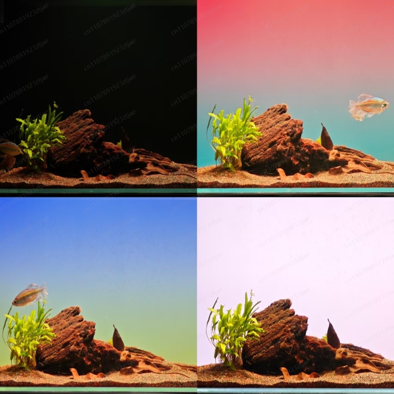 블랙 아크릴 수족관 배경 조명 패널, RGBW 그라데이 - Aquarium Light 리뷰 및 가격
