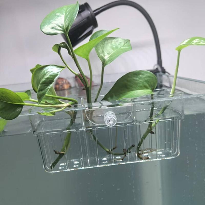 수경재배 식물 바구니 식품 등급 수생 식물 홀더 1개입 - Aquarium Fish Tank 리뷰 및 가격