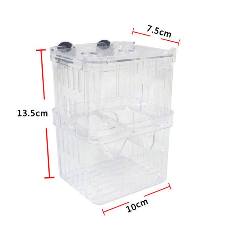 공작어 번식 격리 상자 어항 수족관 번식자 상자 이중  - Betta Fish Tank 리뷰 및 가격