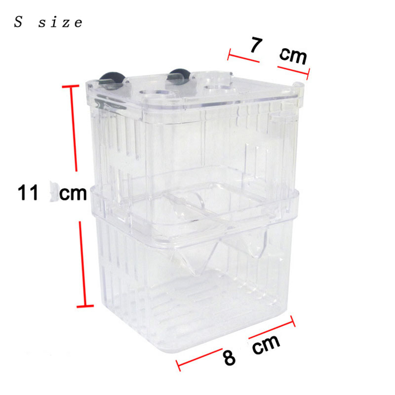 공작어 번식 격리 상자 어항 수족관 번식자 상자 이중  - Betta Fish Tank 리뷰 및 가격
